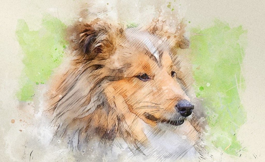 優しい表情の犬