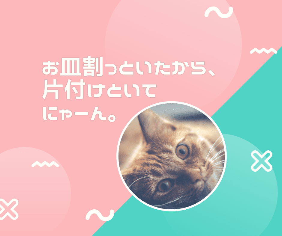 ワガママな猫