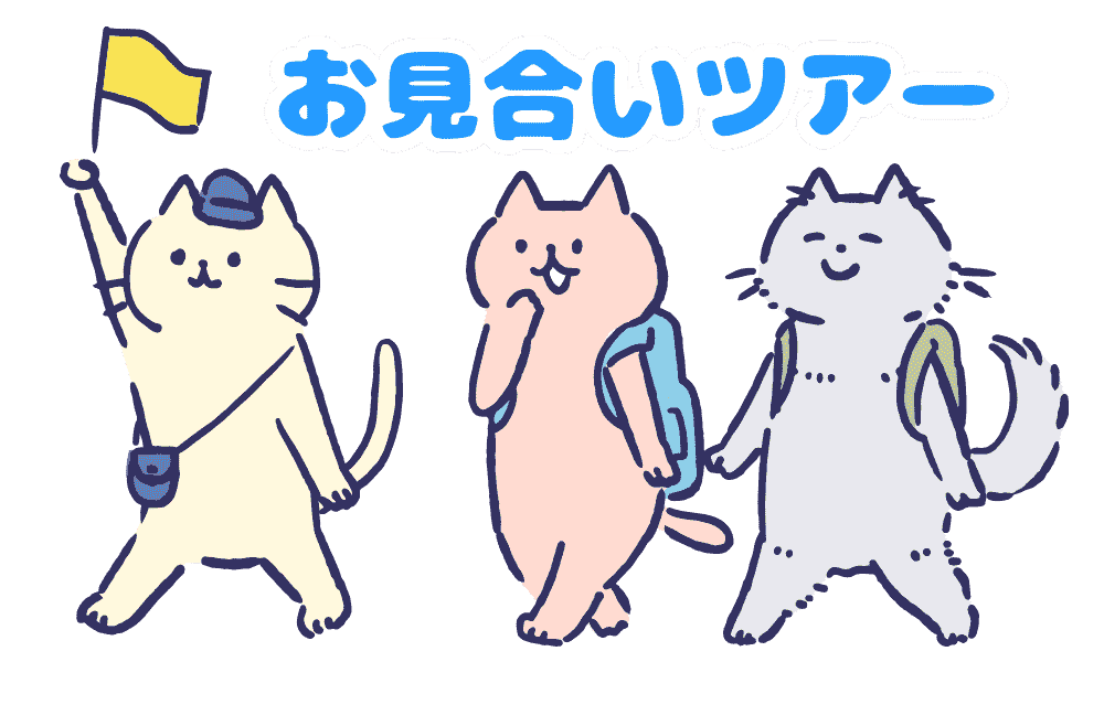 お見合いツアー